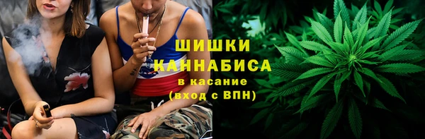 СК Бронницы