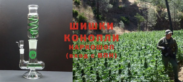 ГАЛЛЮЦИНОГЕННЫЕ ГРИБЫ Бугульма