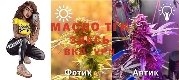 скорость Бородино
