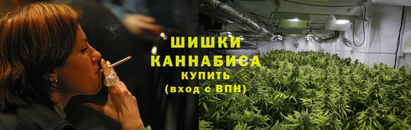 СК Бронницы