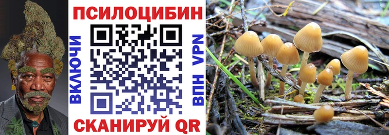 купить закладку  Воркута  darknet официальный сайт  Галлюциногенные грибы мицелий 
