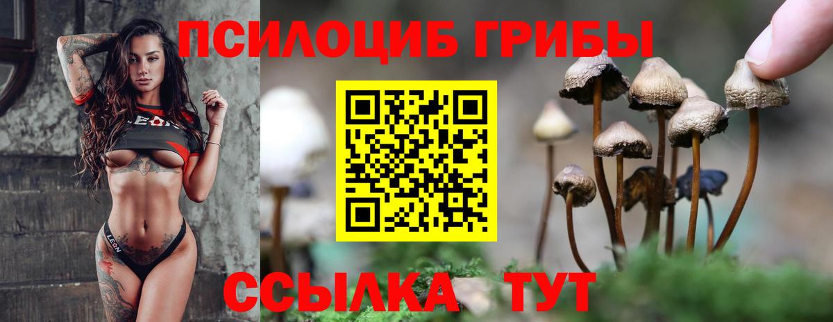 Галлюциногенные грибы GOLDEN TEACHER  Вход с VPN  Воркута  Галлюциногенные грибы мухоморы 